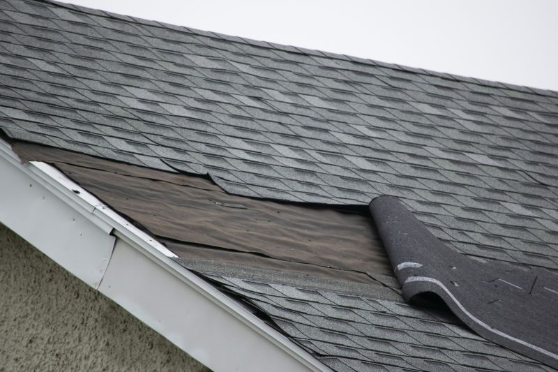 House Roof Repair