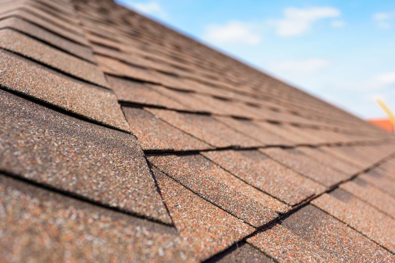 Summer Roofing Service