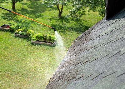 Roofing Inspection in Spring