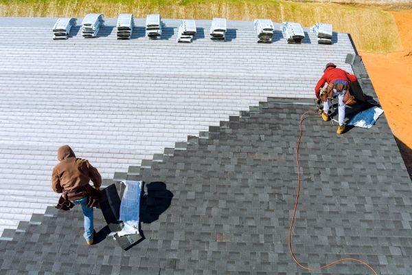 Shingles Repair Service