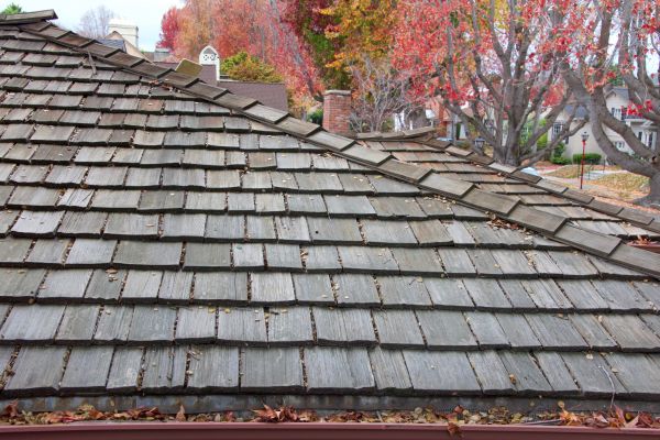Wood Shingle Roof Installation in Bristol