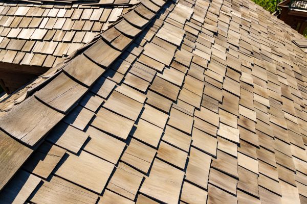 Cedar Roof Construction in Bristol