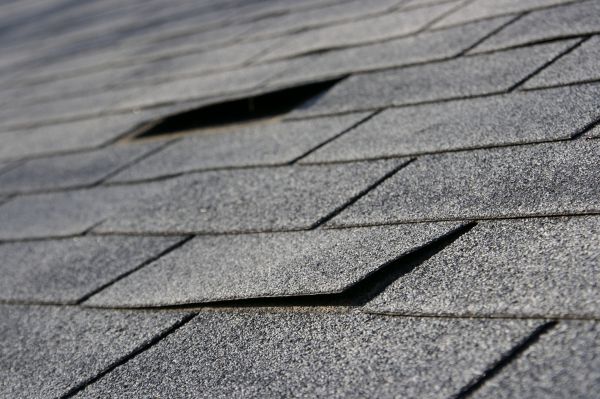 Shingle Replacement Service in Bristol